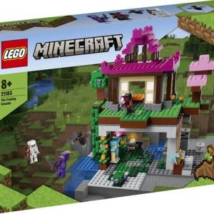 LEGO Minecraft De Trainingsplaats - 21183